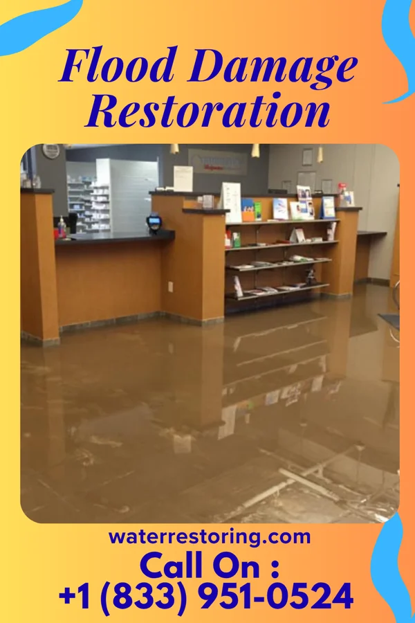 Flood Damage Restoration in Farmingdale, NJ