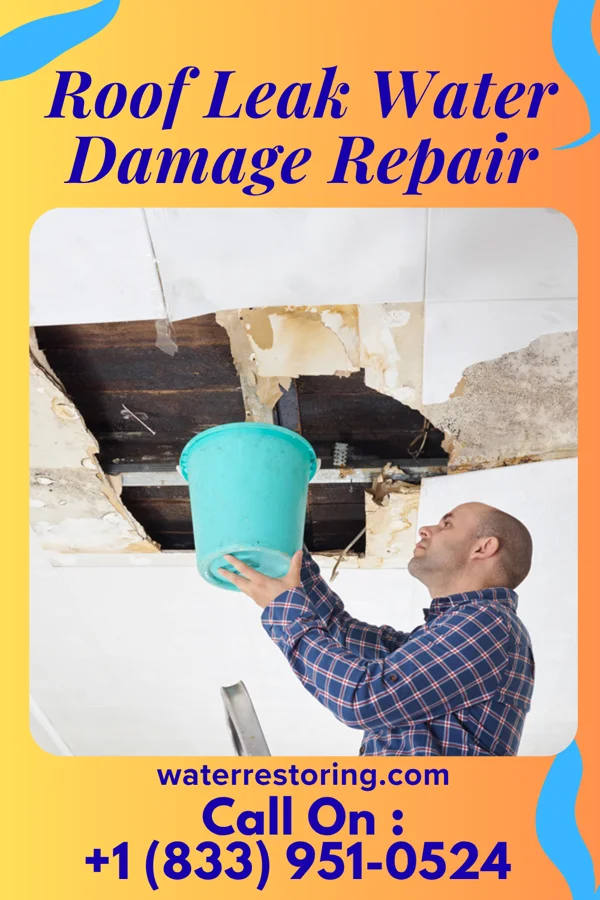 Roof Leak Water Damage Repair in Farmingdale, NJ