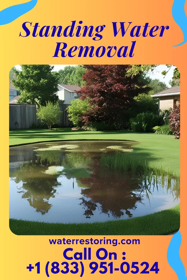 Standing Water Removal in Farmingdale, NJ